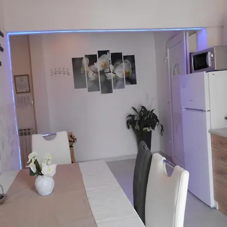 Villa Nedescina Apartment *